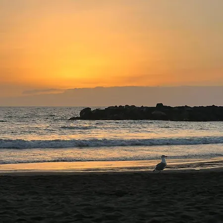 Quite Escape- Playa Americas